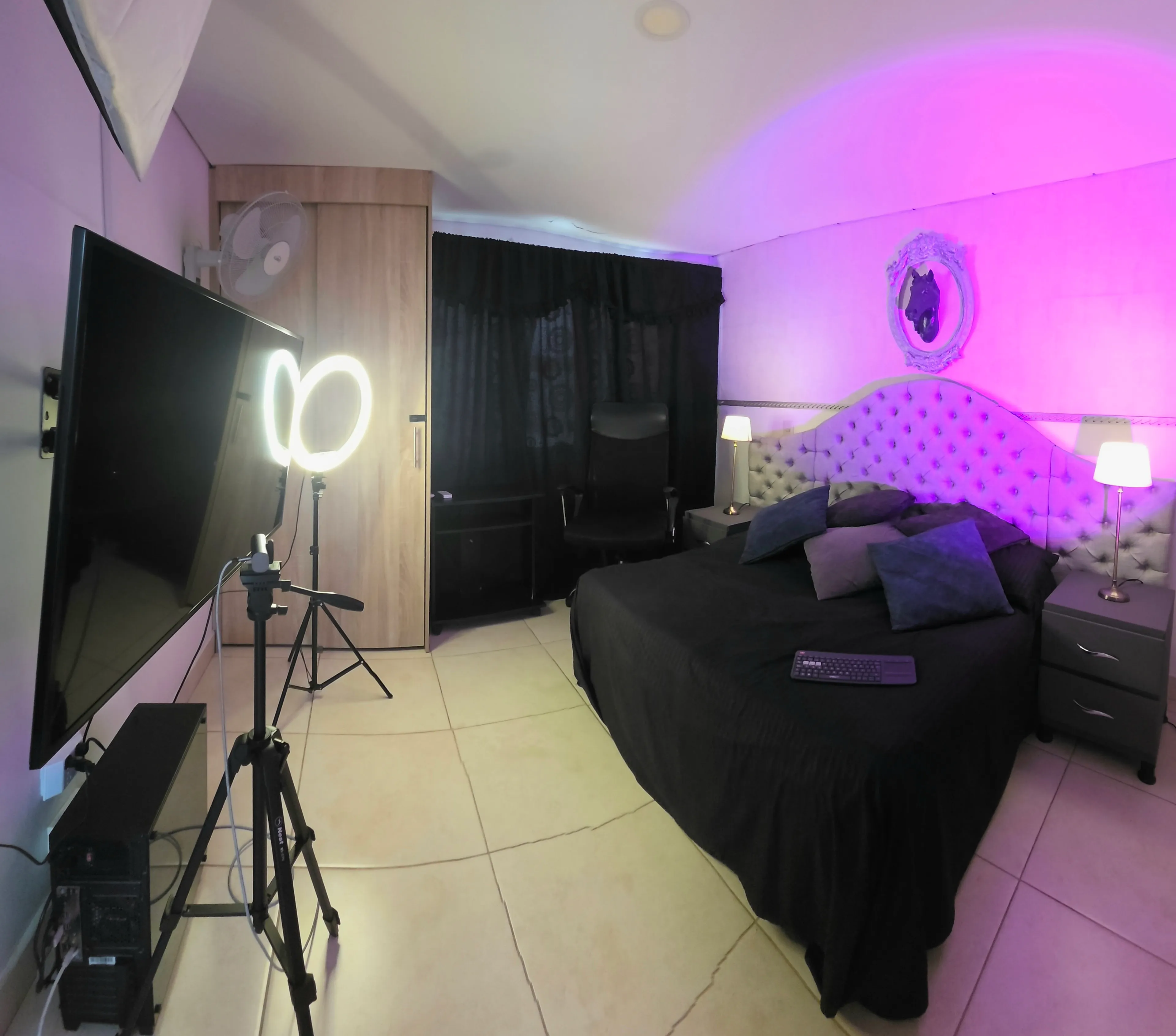 Escenario de estudio Mosaico 2